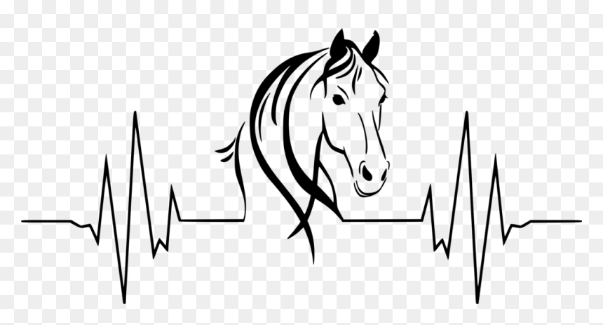 1024 X 504 12 - Heartbeat With Horse Head, HD Png Download - heart beat png