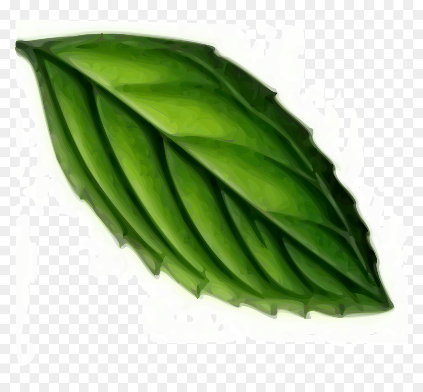 Mint Leaf Clip Arts - Mint Leaf Clip Art, HD Png Download - mint png