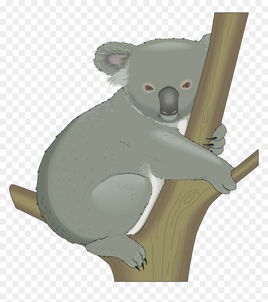 Koala In A Tree Clipart, HD Png Download - koala png