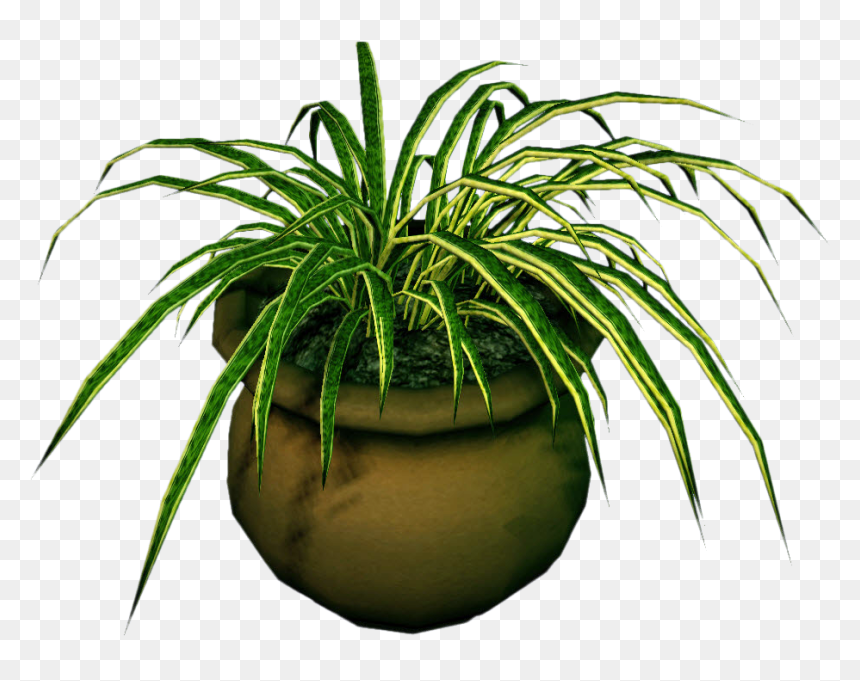 Transparent Marijuana Plant Clipart - Dead Plant Png, Png Download - potted plant png