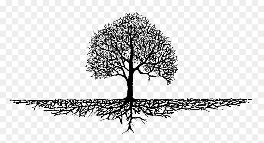 Root Tree Soil Trunk Nutrient - Tree With Roots Art, HD Png Download - soil png