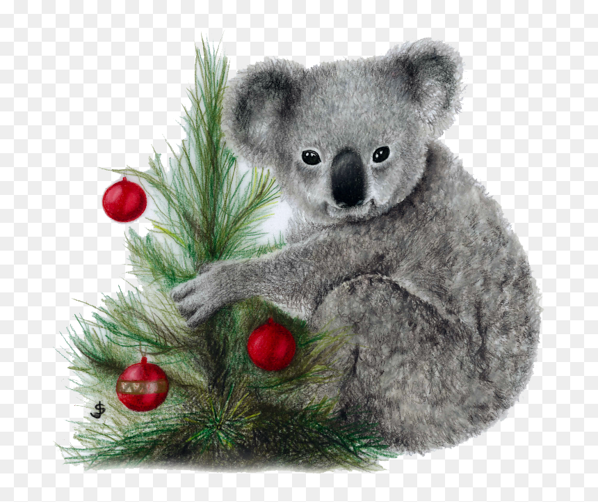 Koala Png Image Download - Koala, Transparent Png - koala png