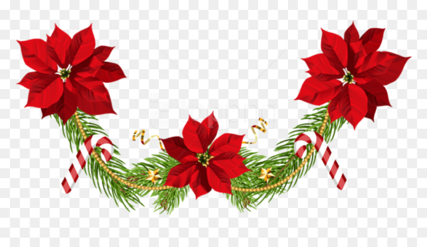 Free Png Christmas Poinsettias Garland Png - Clip Art Poinsettia Christmas, Transparent Png - garland png