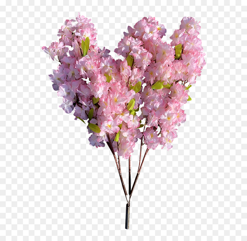 Bouquet, HD Png Download - cherry blossom tree png