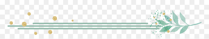 Wrapping Paper, HD Png Download - page divider png