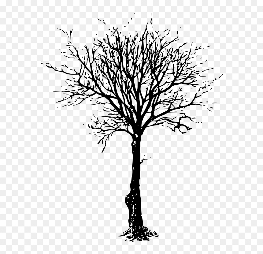 Clip Art Tree Branch Image Silhouette - Leafless Tree Png, Transparent Png - cherry blossom tree png