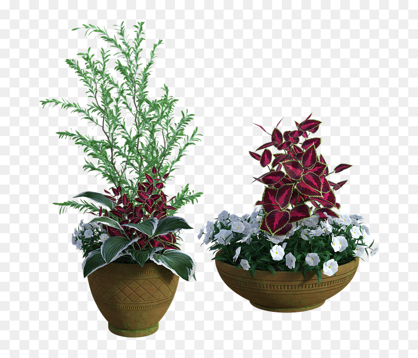 Vasi Piante Esterno 3d Free Download, HD Png Download - potted plant png