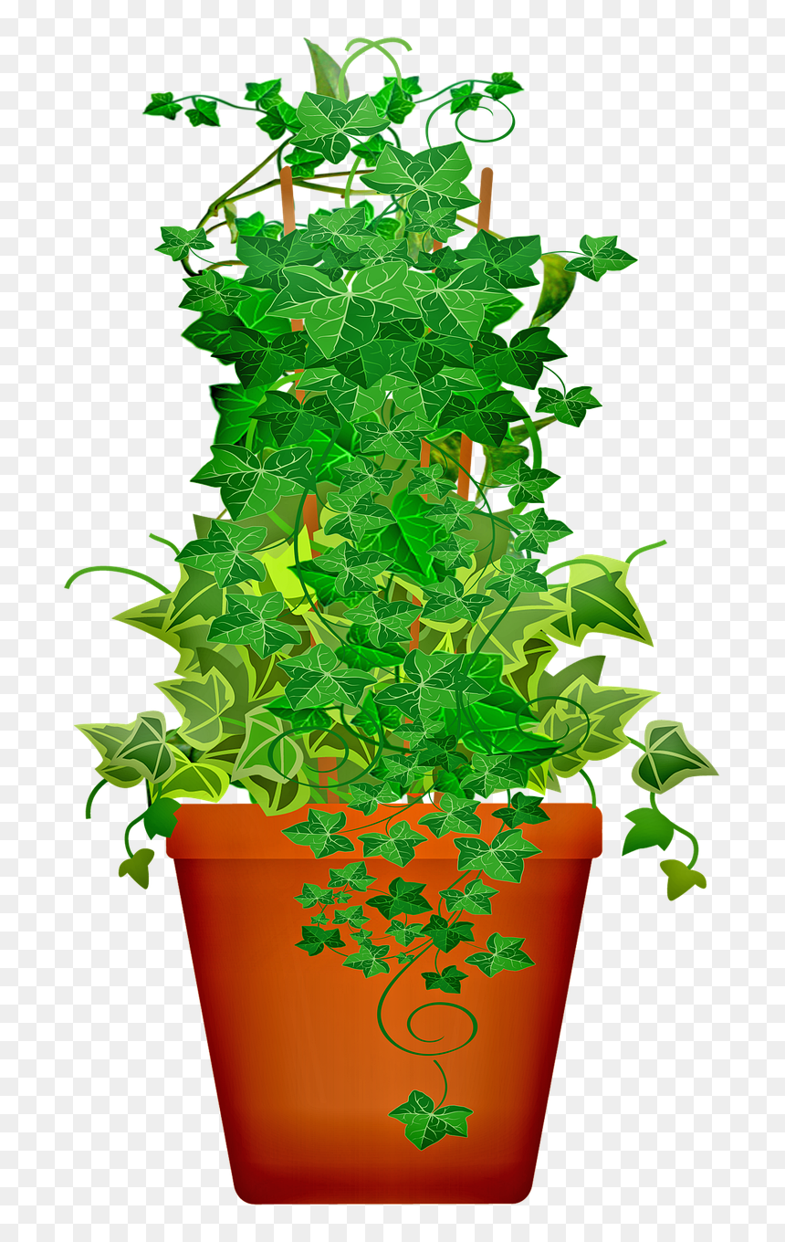 Potted Plant Png, Transparent Png - potted plant png
