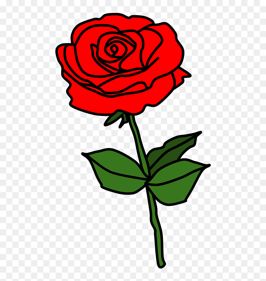 Rose, Thorns, Red - Floribunda, HD Png Download - thorns png