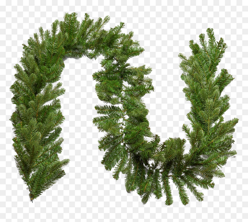 Garland Png Transparent Image - Oregon Pine, Png Download - garland png