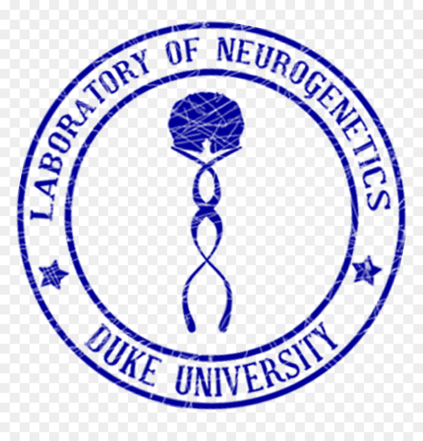 Division Of City Schools Valenzuela Logo , Png Download - Neurogenetics, Transparent Png - the division logo png
