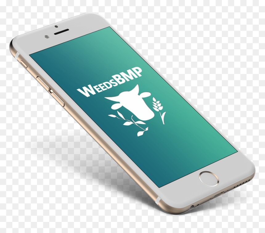 Floating Iphone Png, Transparent Png - android mobile phone png