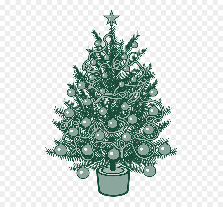 Christmas Tree Vector, HD Png Download - christmas tree vector png