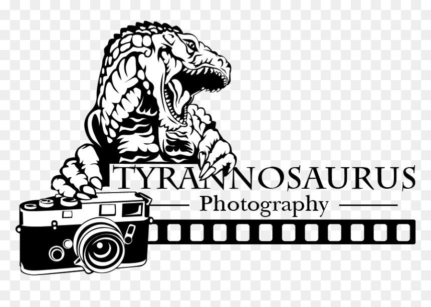 Illustration, HD Png Download - photography camera logo design png