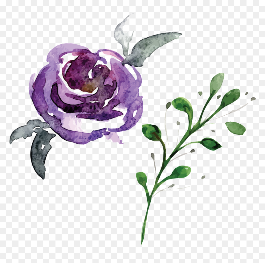 Hand Painted Flowers And Plants Hd Beautiful Illustration - Watercolor Flower Png Hd, Transparent Png - flower png hd