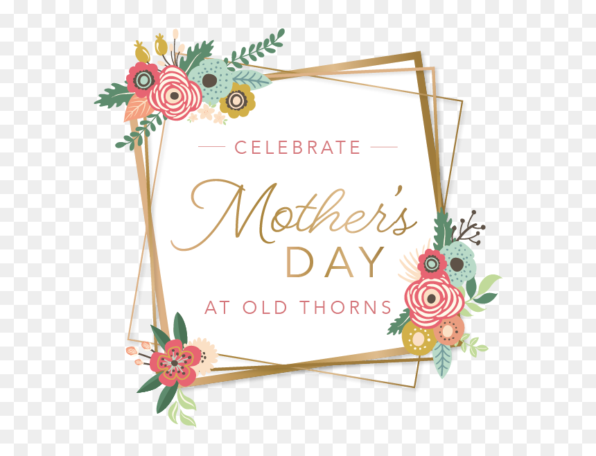 Mothers Day - Garden Roses, HD Png Download - mother's day png