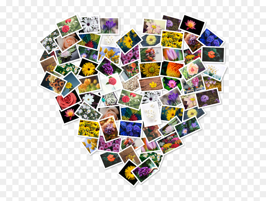 Transparent Mark Twain Clipart - Mark Twain Collage, HD Png Download - feliz cumpleaños png