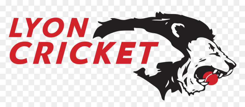 Cricket Batsman Vector - Illustration, HD Png Download - cricket vector png