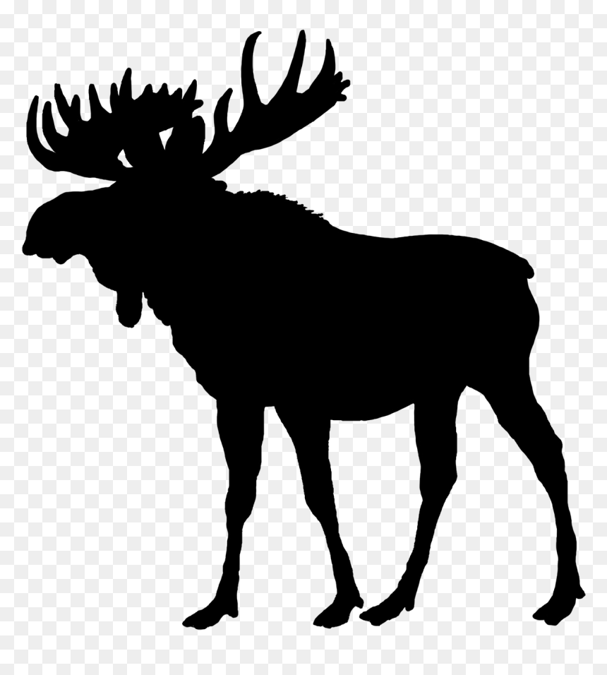 Moose Transparent Background - Free Moose Silhouette, HD Png Download - moose png