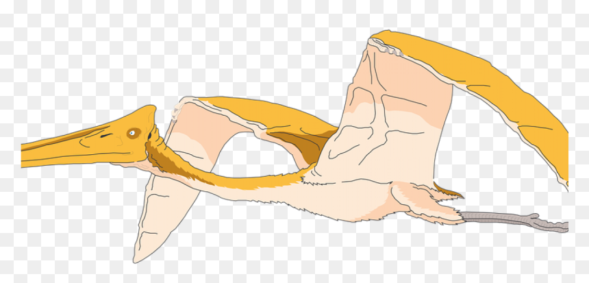 Illustration, HD Png Download - pterodactyl png