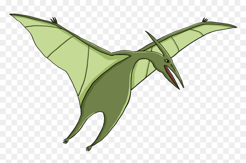 Illustration , Png Download - Illustration, Transparent Png - pterodactyl png