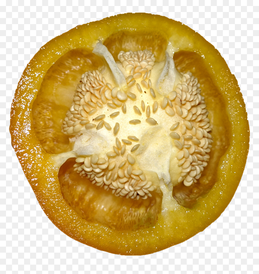 Bell Pepper - Muskmelon, HD Png Download - pepper png