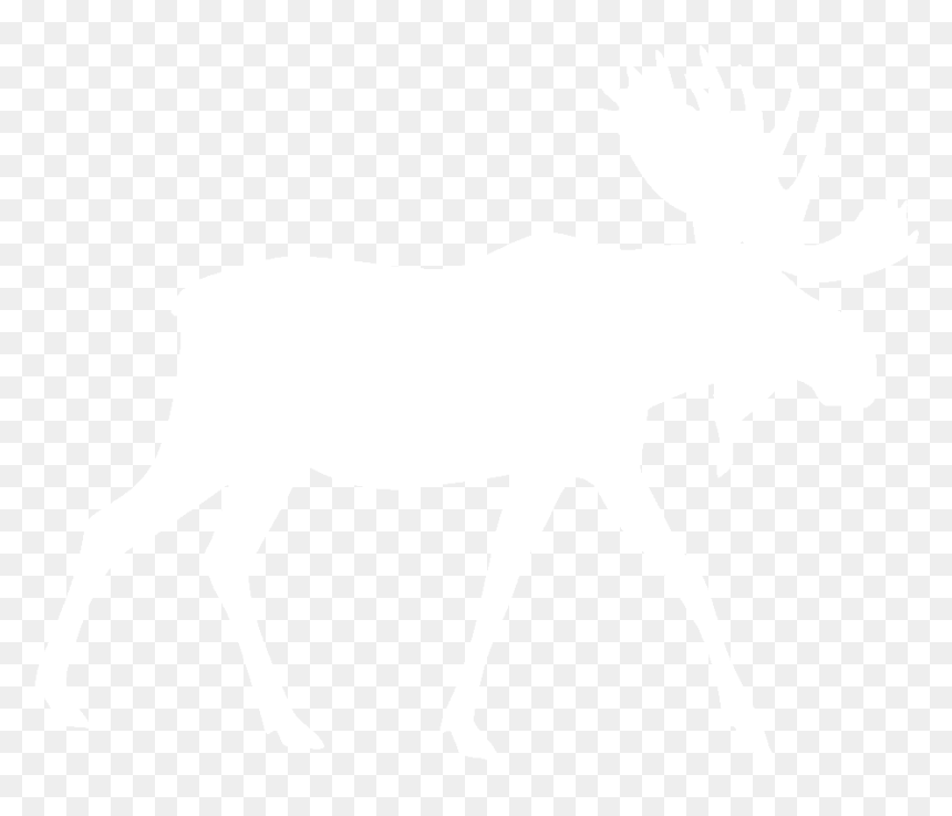 Moose, Elk Png - White Moose Png, Transparent Png - moose png