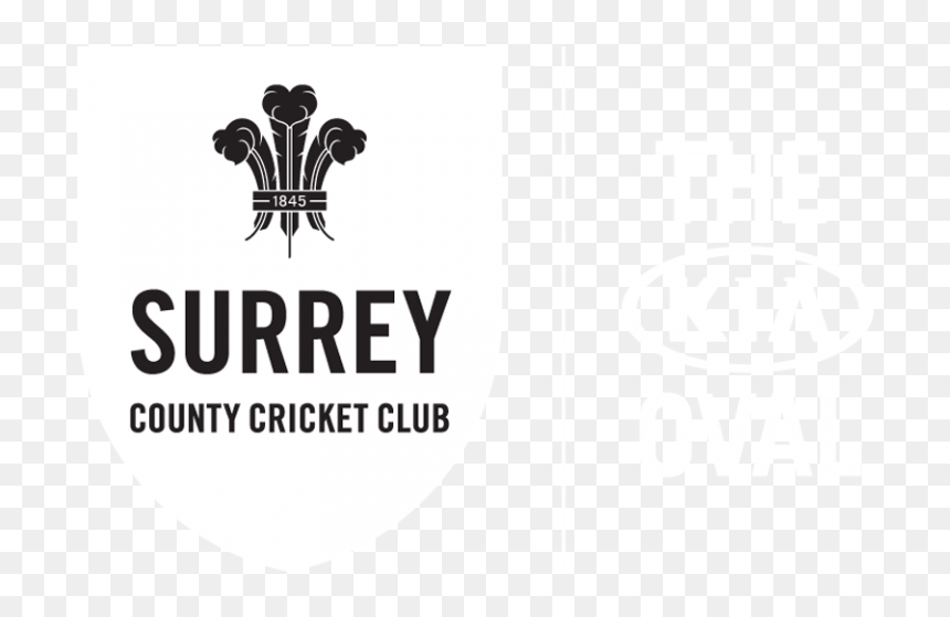 Kia Oval Logo, HD Png Download - cricket vector png