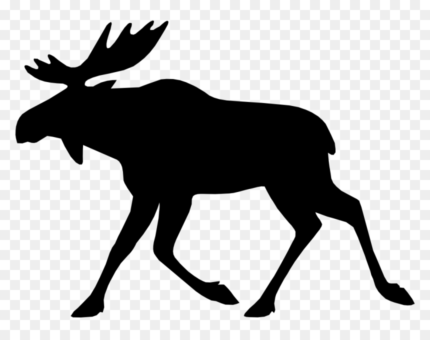 Moose Elk Deer Bear - Clipart Silhouette Moose, HD Png Download - moose png