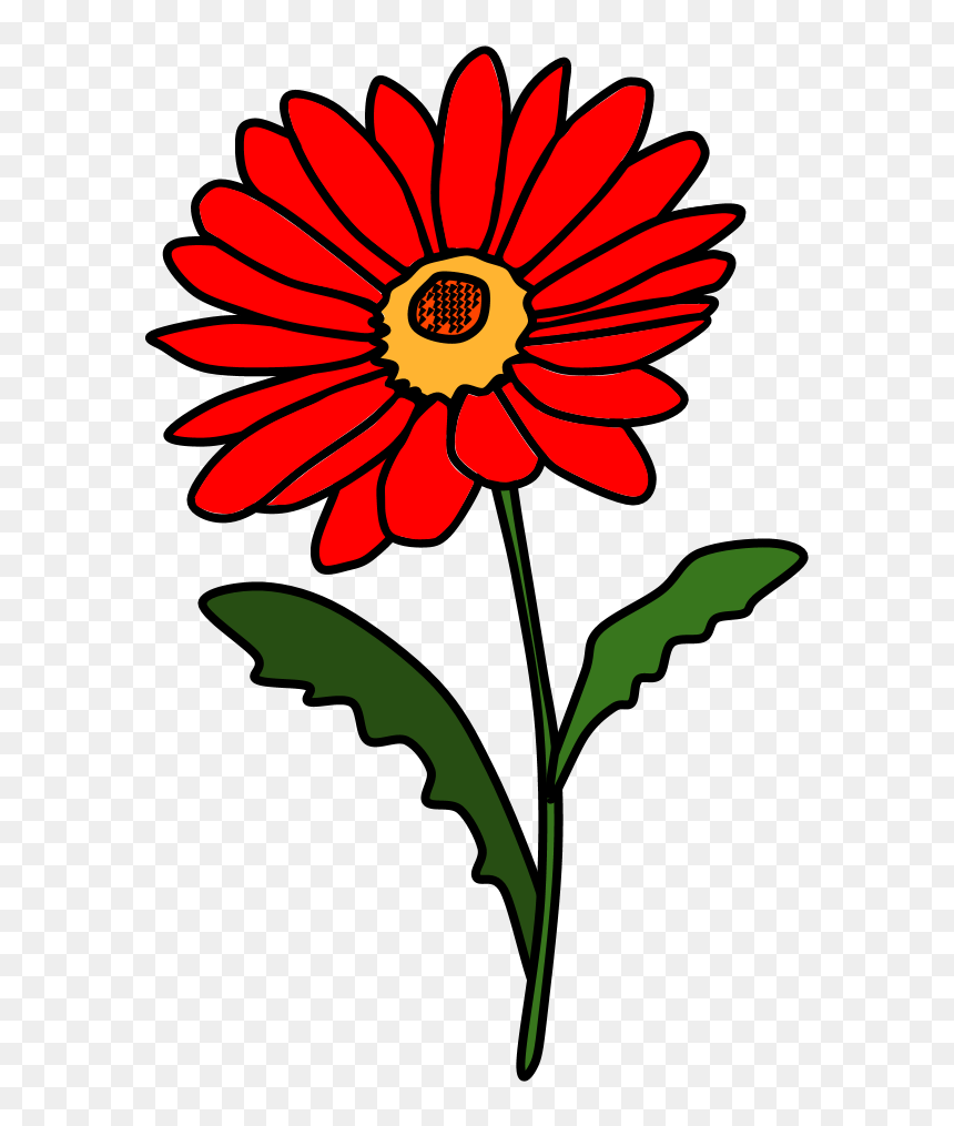 Daisy, Petals, Red - Barberton Daisy Flower In Transparent Background, HD Png Download - daisies png