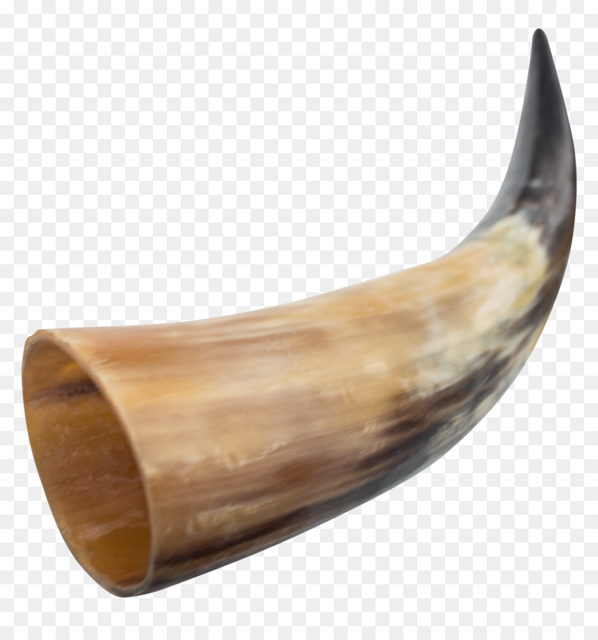 Viking Horn Png, Transparent Png - horn png