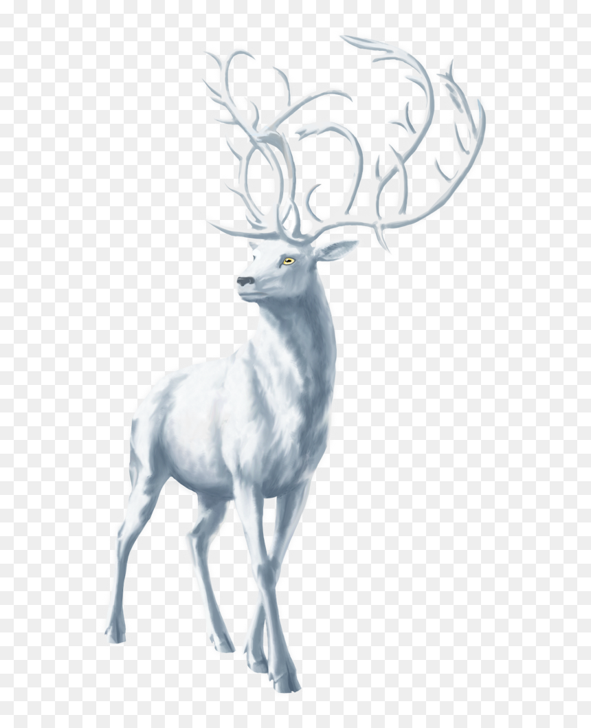 Moose Png Free Download - Elk, Transparent Png - moose png
