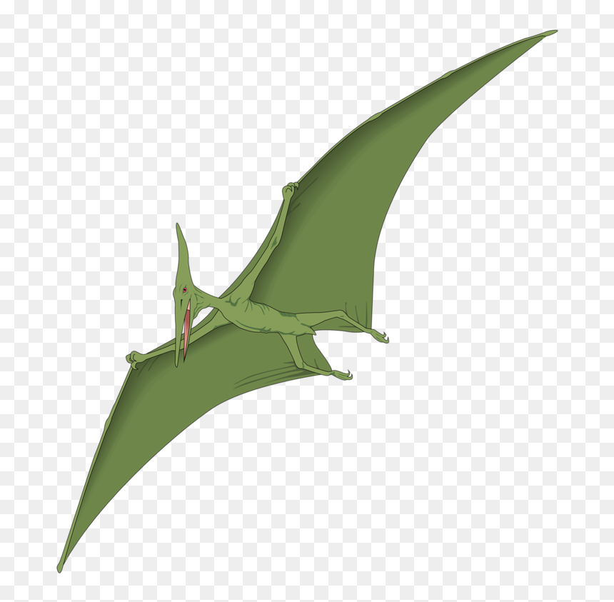 Personalized Custom Pterodactyl 14 Oz White Stainless - Pteranodon Silhouette, HD Png Download - pterodactyl png