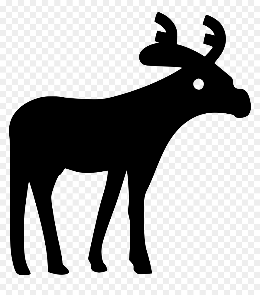 Moose - Portable Network Graphics, HD Png Download - moose png