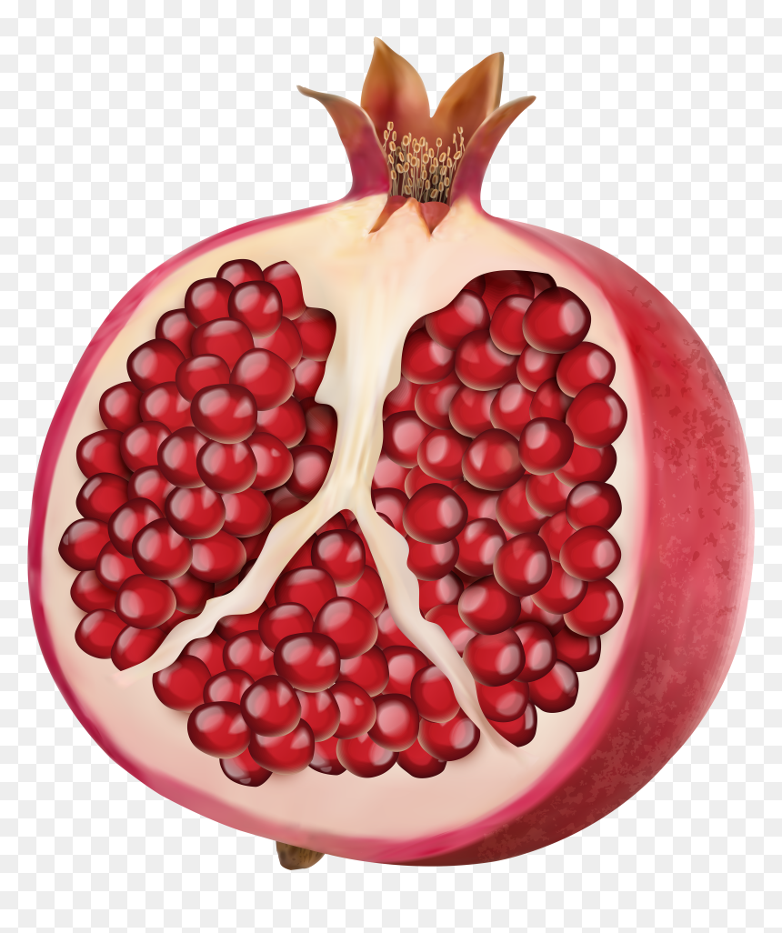 Pomegranate Png Picture - Pomegranate Transparent Background, Png Download - pomegranate png