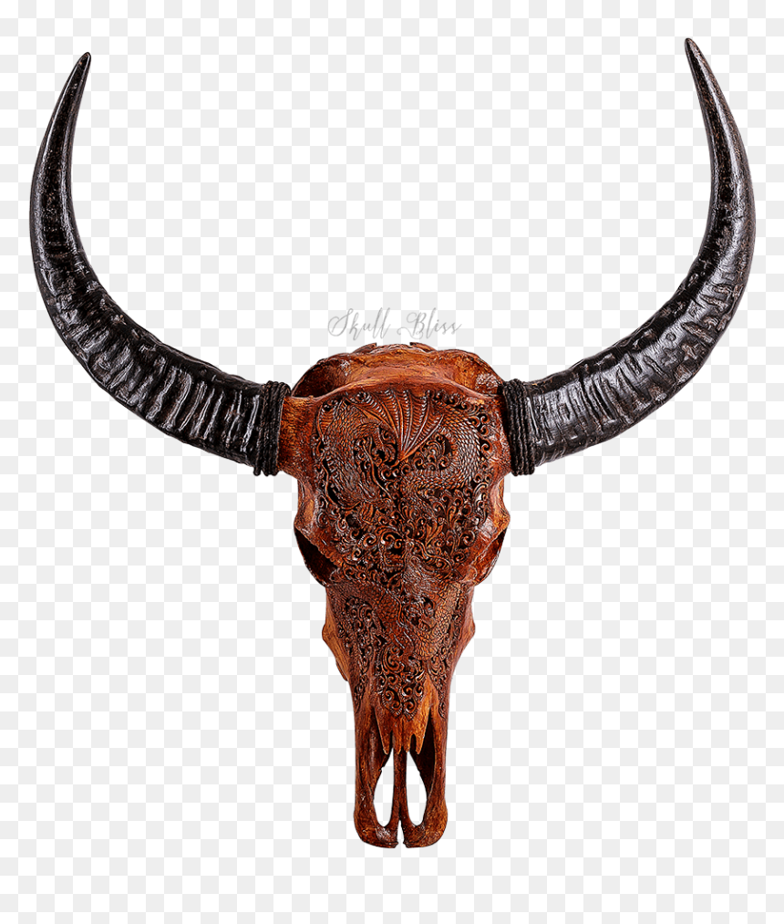 Buffalo Horn Png , Png Download - Cattle, Transparent Png - horn png