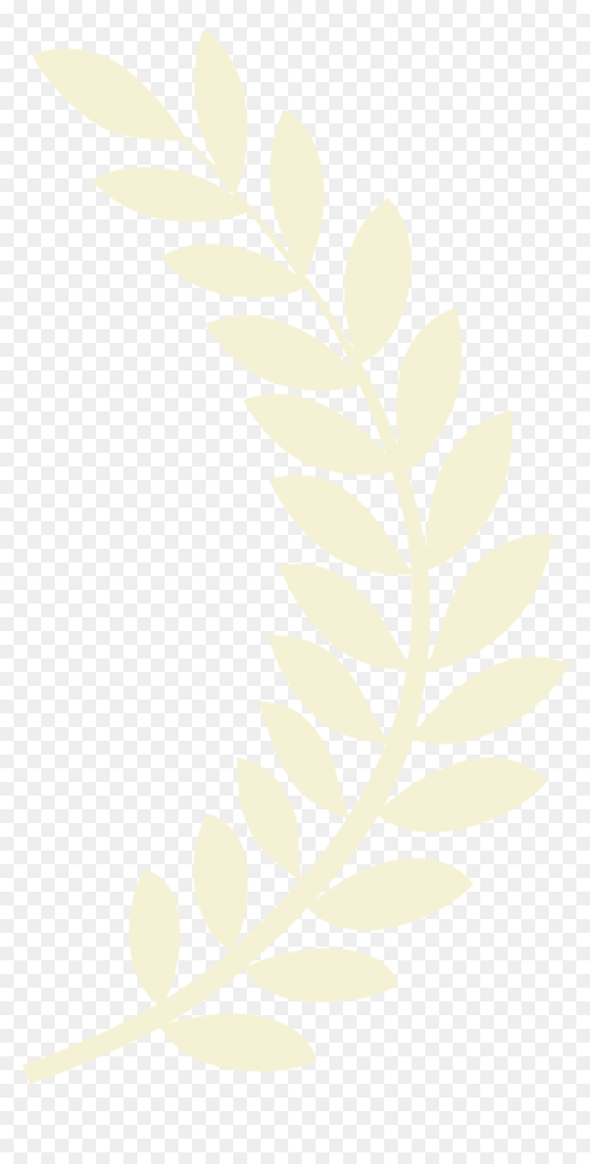Awards & Festival Screenings - Montreal World Film Festival Logo, HD Png Download - laurel wreath png