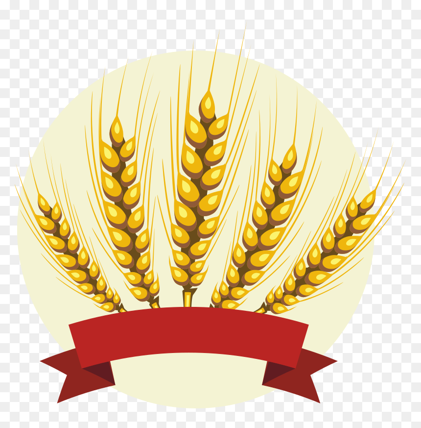 Barley With Red Banner - Barley Clipart, HD Png Download - red banner png
