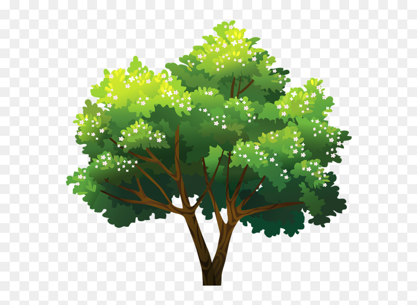 Tree Png - Осень Вектор, Transparent Png - maple tree png