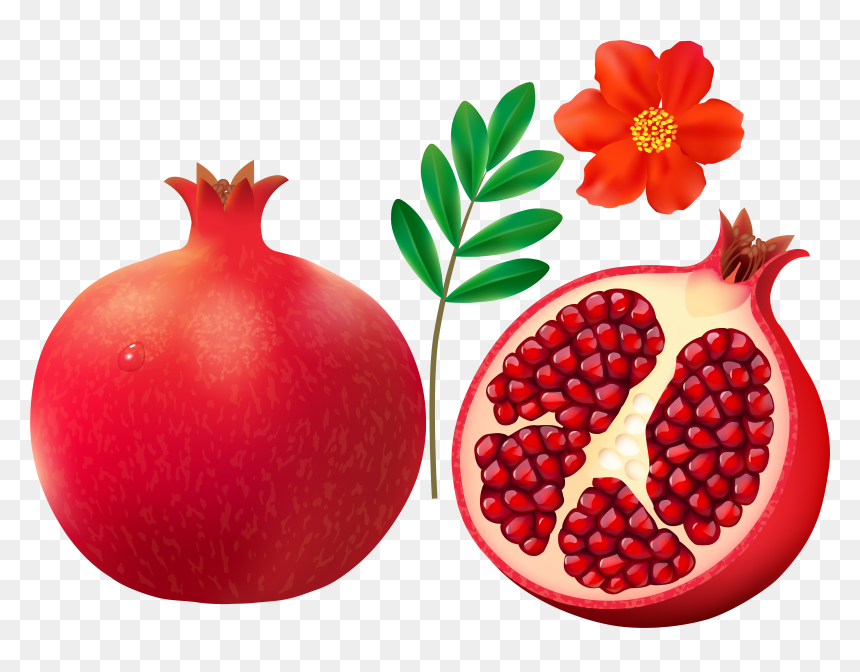 F Cdba Orig - Pomegranate Clip Art, HD Png Download - pomegranate png