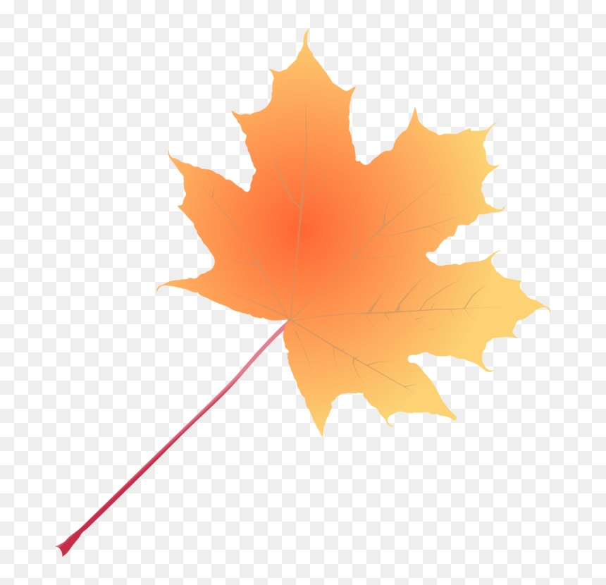 Plant,leaf,tree - Clip Art, HD Png Download - maple tree png