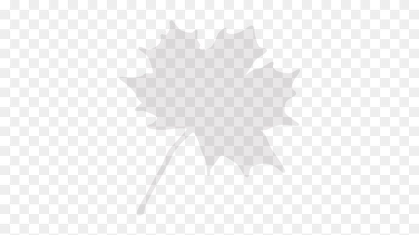 Maple Leaf Clip Art, HD Png Download - maple tree png