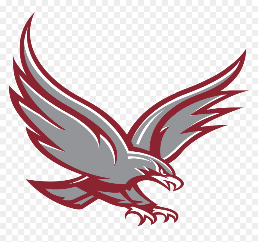 Albertus Magnus Home Page Png High School Falcon Logo - Albertus Magnus High School Logo, Transparent Png - falcons logo png