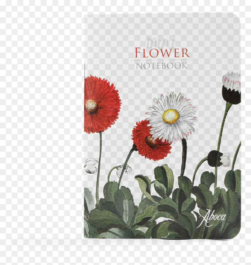 Mini Flower Notebook Daisies - English Marigold, HD Png Download - daisies png