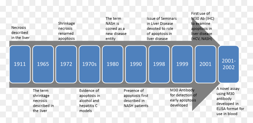 Screenshot, HD Png Download - timeline png