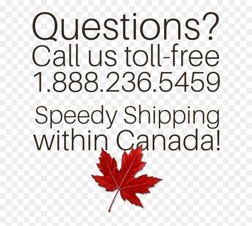 The Costume Shoppe - Red Maple Leaf, HD Png Download - maple tree png