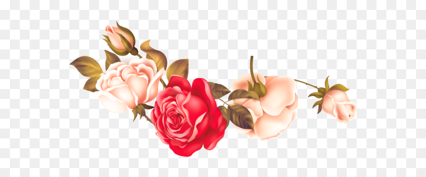Rose Png Flower Image Free Download Searchpng - Garden Roses, Transparent Png - pink roses png