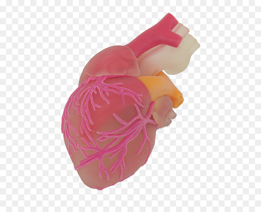 Wool, HD Png Download - heart .png