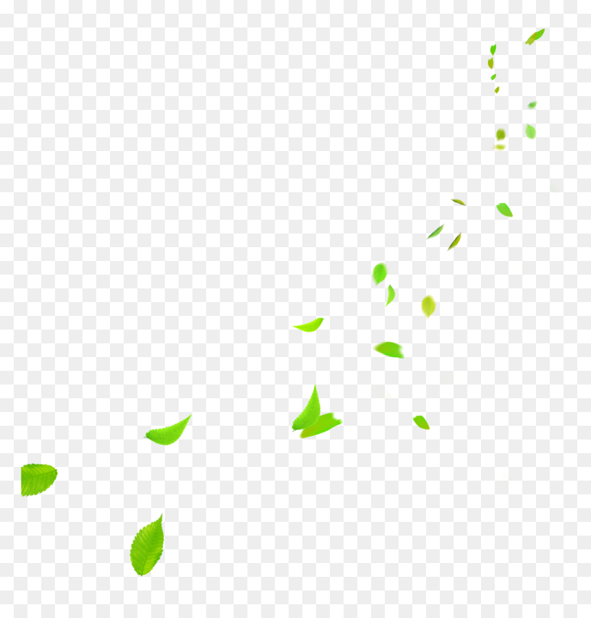 Green Leaves Falling Png , Png Download - Fall Green Leaves Png, Transparent Png - falling png