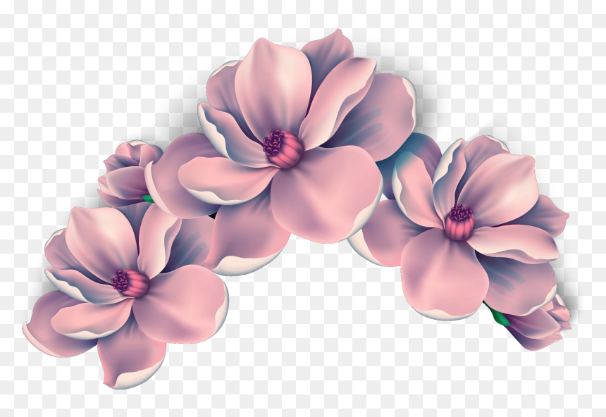 Ftestickers Flowers Flowercrown Freetoedit - Peach Transparent Flower, HD Png Download - purple flower png